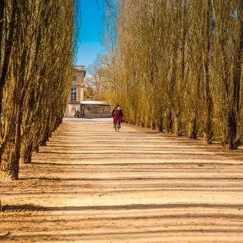 Offres Vélo - Hôtel des Roys Versailles
